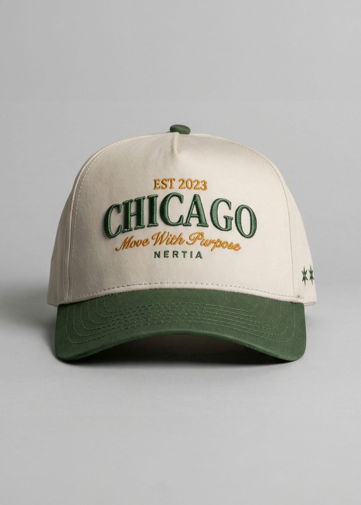 City Snapback [Chicago]