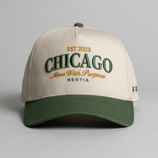 City Snapback [Chicago]