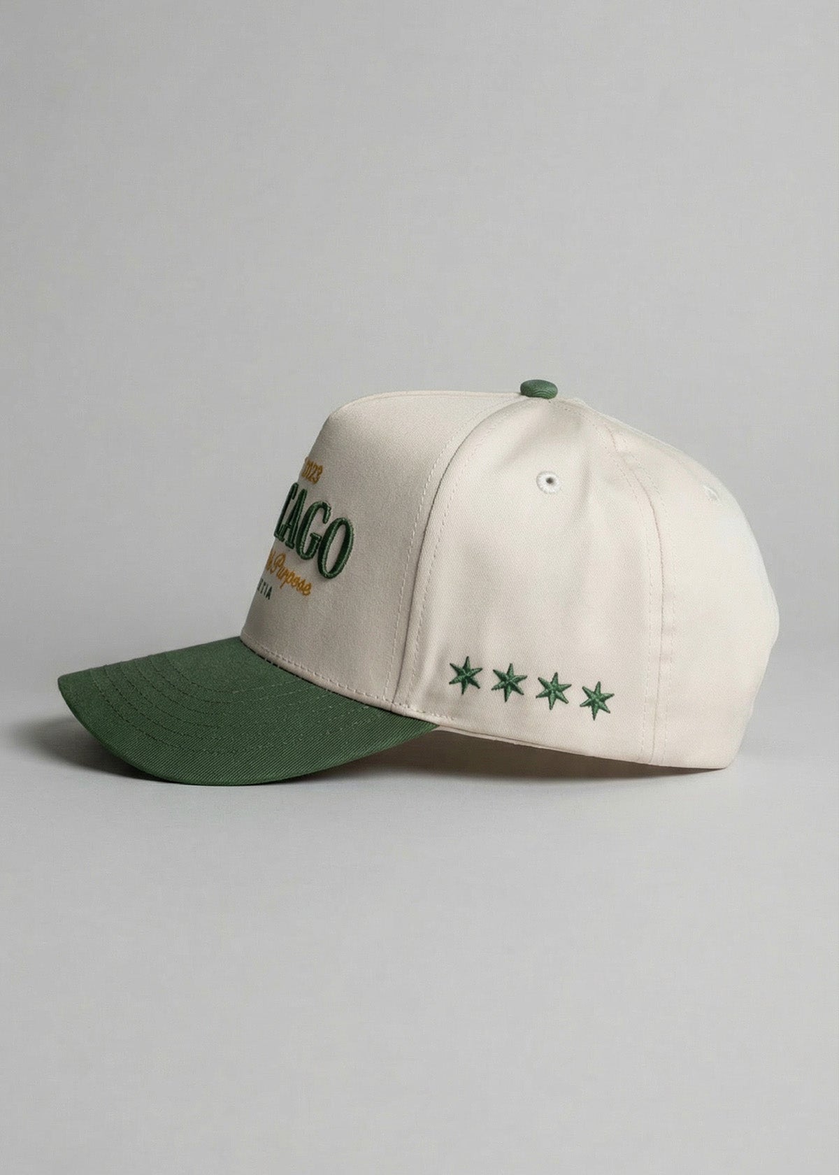 City Snapback [Chicago]