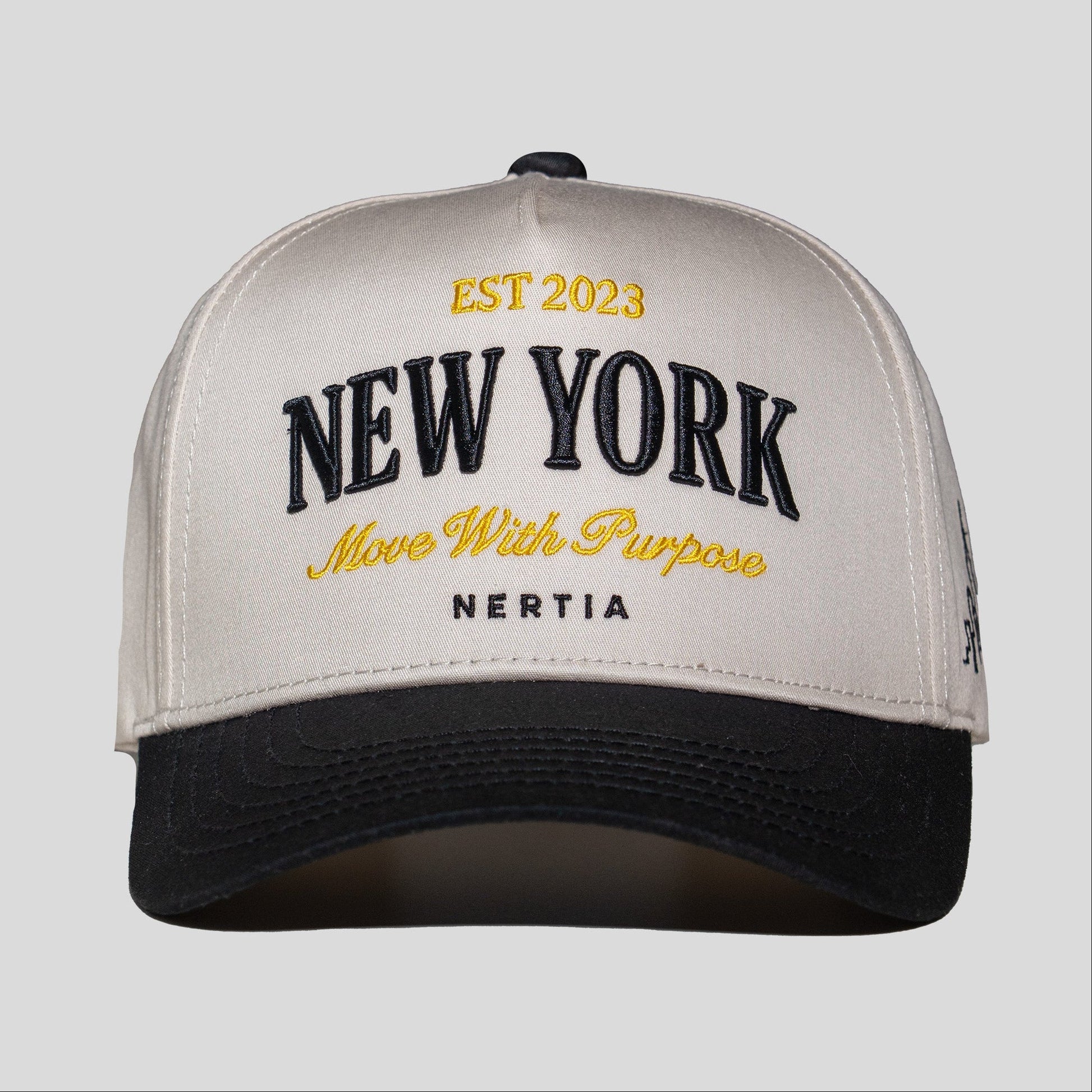 Cap with 'New York' and branding text on a gray background