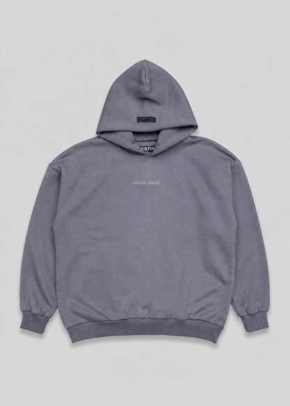 Gray hoodie with a brand logo on a light gray background