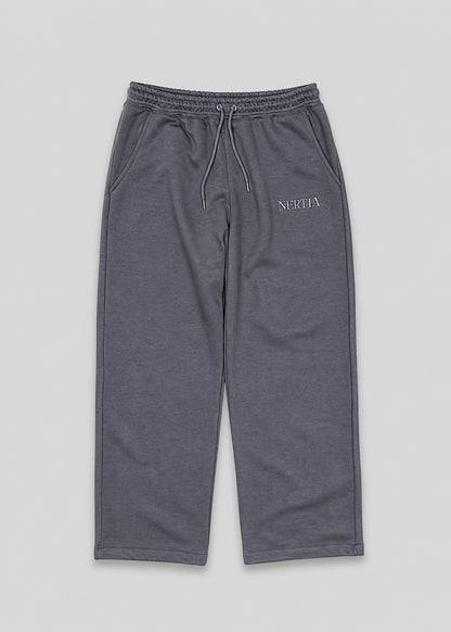 Gray sweatpants with a brand logo on a light gray background